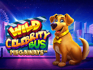 Wild Celebrity Bus Megaways icon