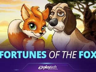 Fortunes Of The Fox (foxy Fortune) game cover
