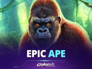 Epic Ape icon